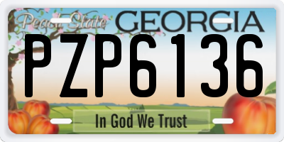 GA license plate PZP6136