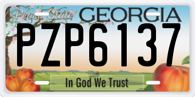 GA license plate PZP6137