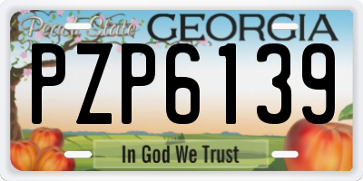 GA license plate PZP6139