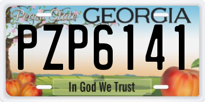 GA license plate PZP6141
