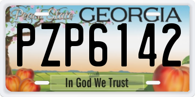 GA license plate PZP6142