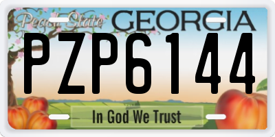 GA license plate PZP6144