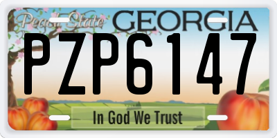 GA license plate PZP6147