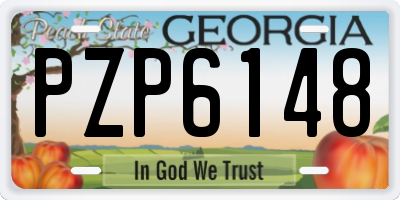 GA license plate PZP6148