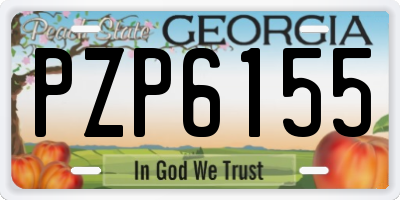 GA license plate PZP6155