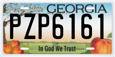 GA license plate PZP6161