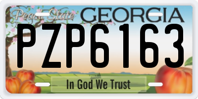 GA license plate PZP6163