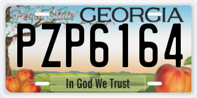 GA license plate PZP6164