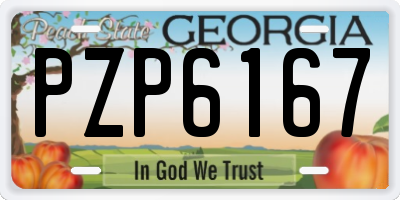 GA license plate PZP6167