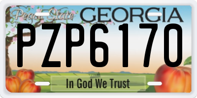 GA license plate PZP6170