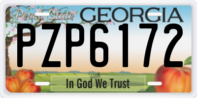 GA license plate PZP6172