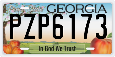 GA license plate PZP6173