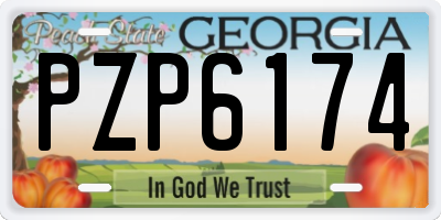 GA license plate PZP6174