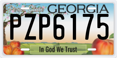 GA license plate PZP6175