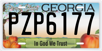 GA license plate PZP6177