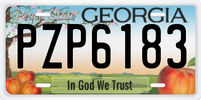 GA license plate PZP6183