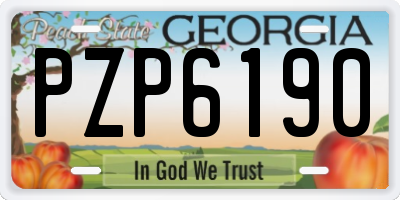 GA license plate PZP6190
