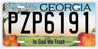 GA license plate PZP6191