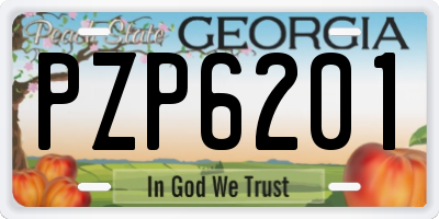 GA license plate PZP6201