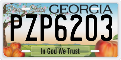 GA license plate PZP6203