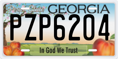 GA license plate PZP6204