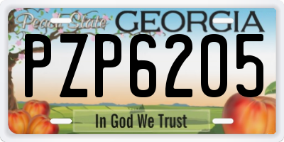 GA license plate PZP6205