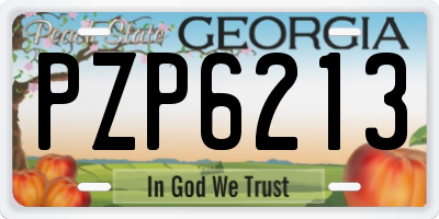 GA license plate PZP6213