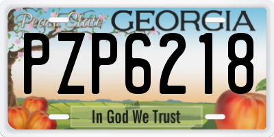 GA license plate PZP6218