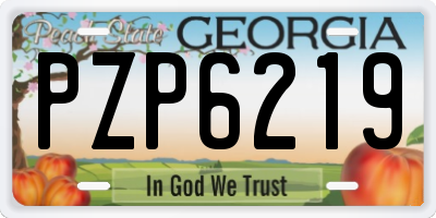 GA license plate PZP6219