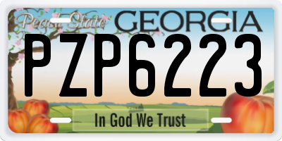 GA license plate PZP6223