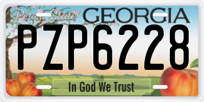 GA license plate PZP6228