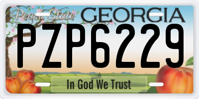 GA license plate PZP6229