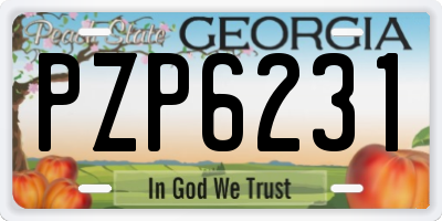 GA license plate PZP6231