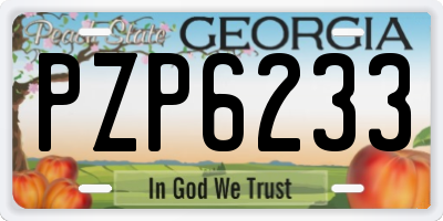 GA license plate PZP6233