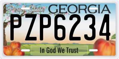 GA license plate PZP6234