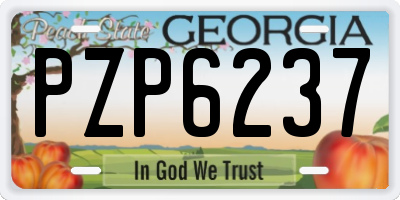 GA license plate PZP6237