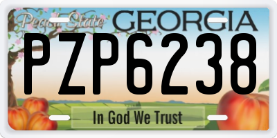 GA license plate PZP6238