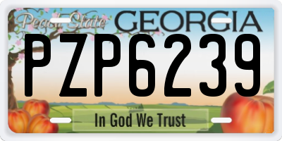 GA license plate PZP6239