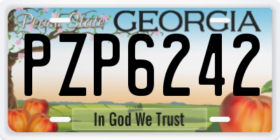 GA license plate PZP6242