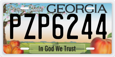 GA license plate PZP6244