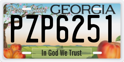 GA license plate PZP6251