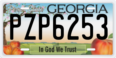 GA license plate PZP6253