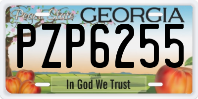 GA license plate PZP6255