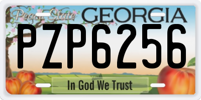 GA license plate PZP6256
