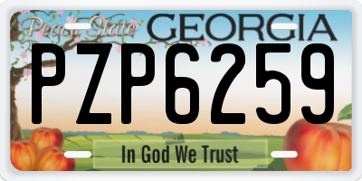 GA license plate PZP6259