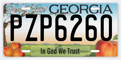 GA license plate PZP6260
