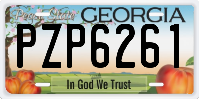GA license plate PZP6261