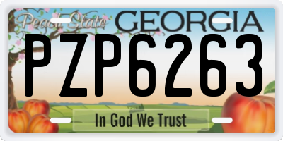 GA license plate PZP6263