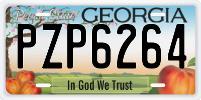 GA license plate PZP6264