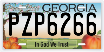 GA license plate PZP6266